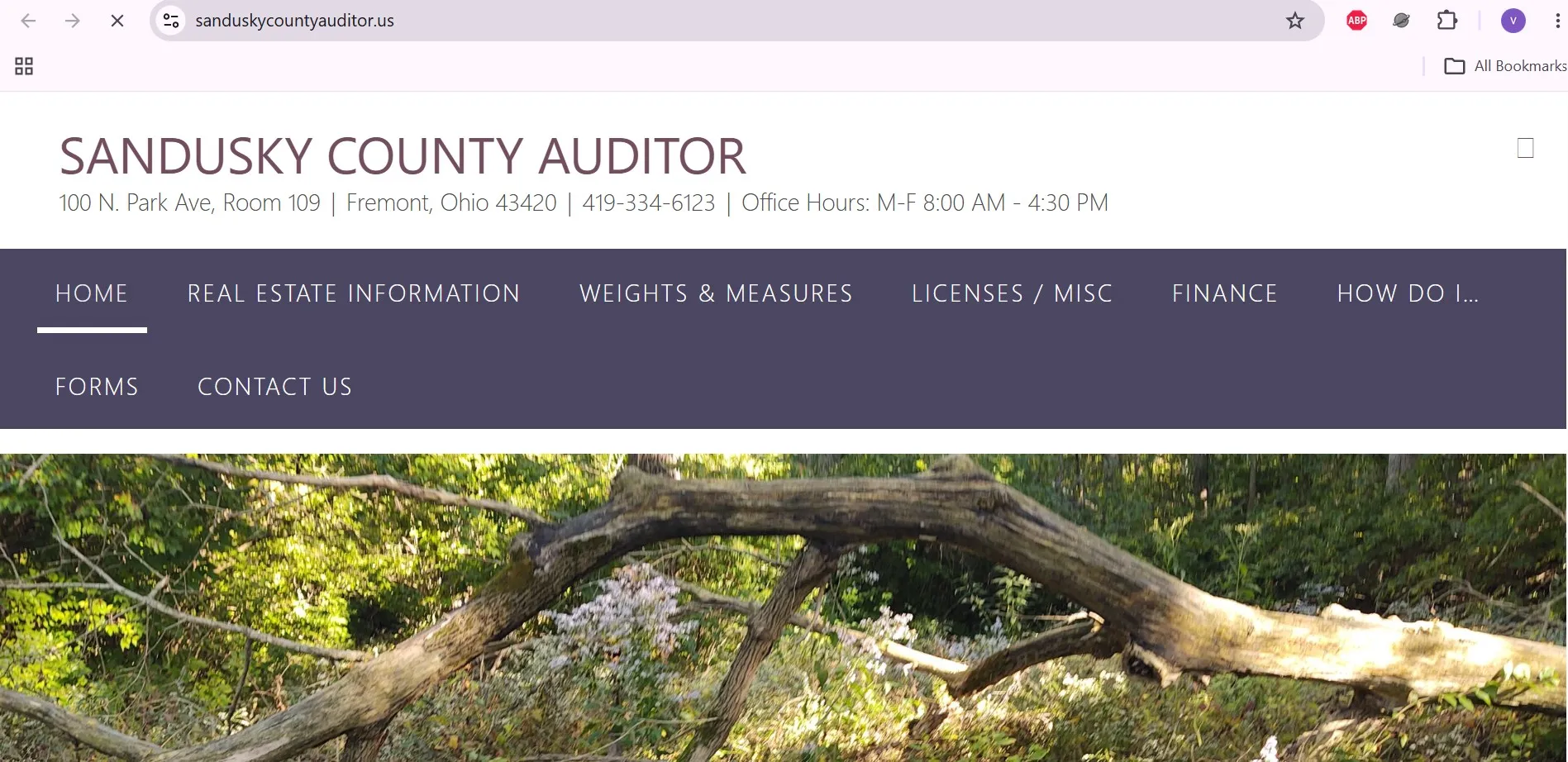 Sandusky County Auditor property search page with owner, address and parcel lookup options
